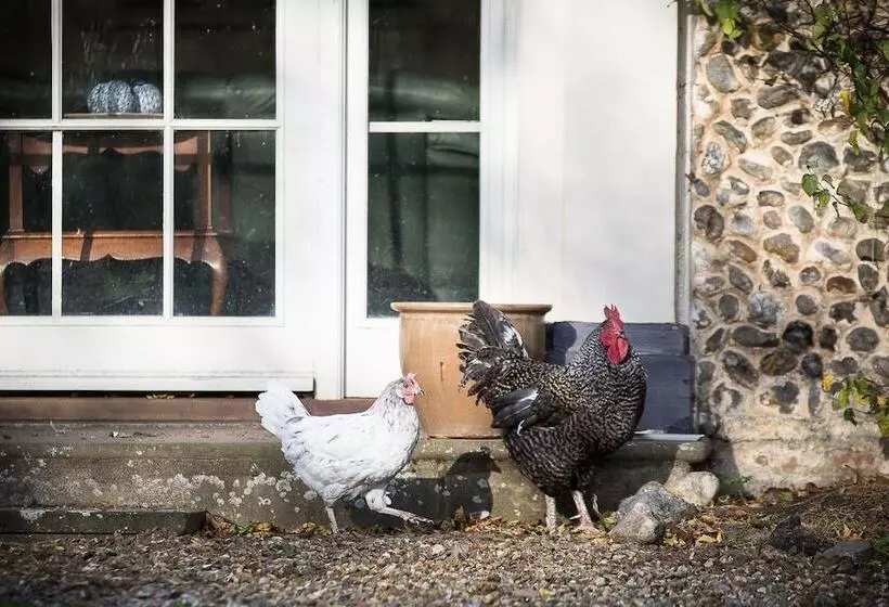 Aamiaismajoitus (B&B) Sidney House Farm