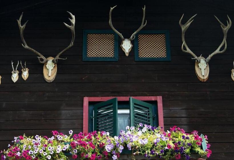 הוסטל Angerer Alm