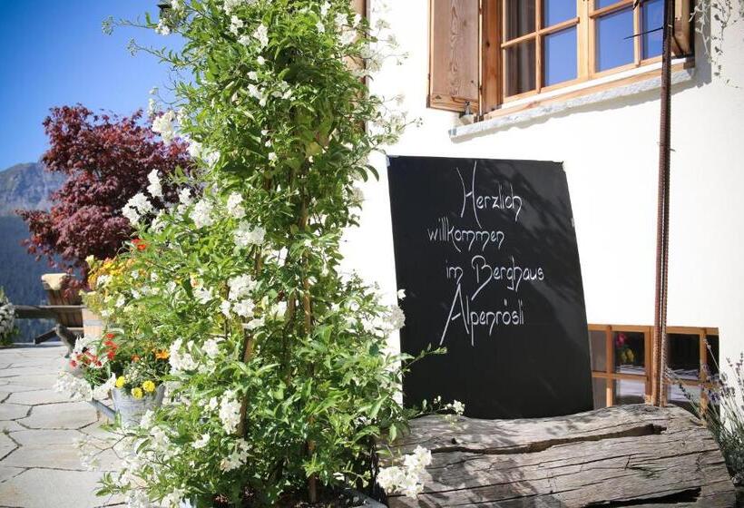 Vandrarhem Berghaus Alpenrösli