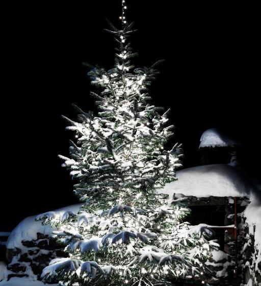 Vandrarhem Berghaus Alpenrösli