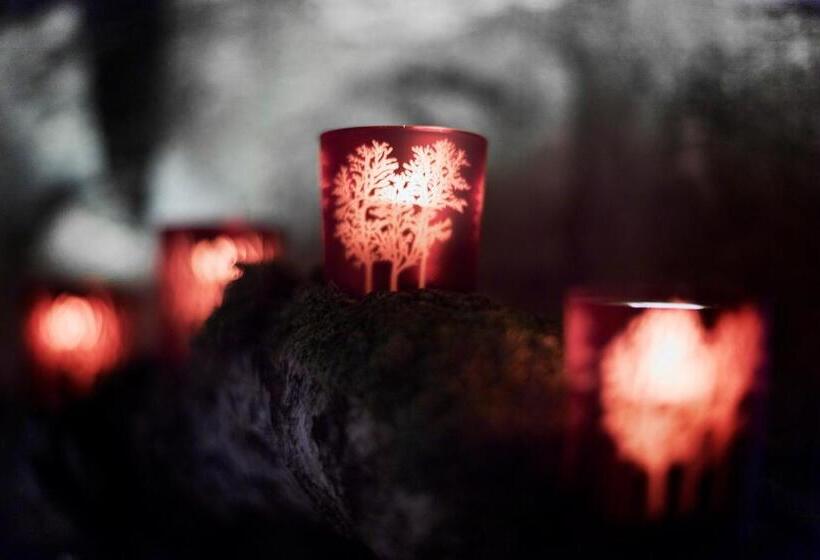 Vandrarhem Berghaus Alpenrösli