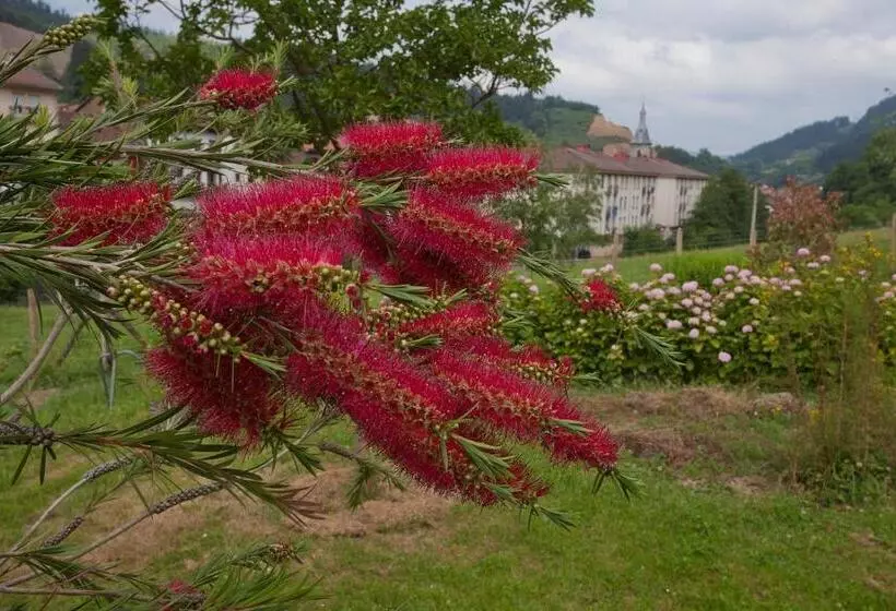 Majatalo Agroturismo Ibarre