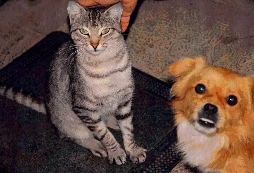 Majatalo Agroturismo Ibarre