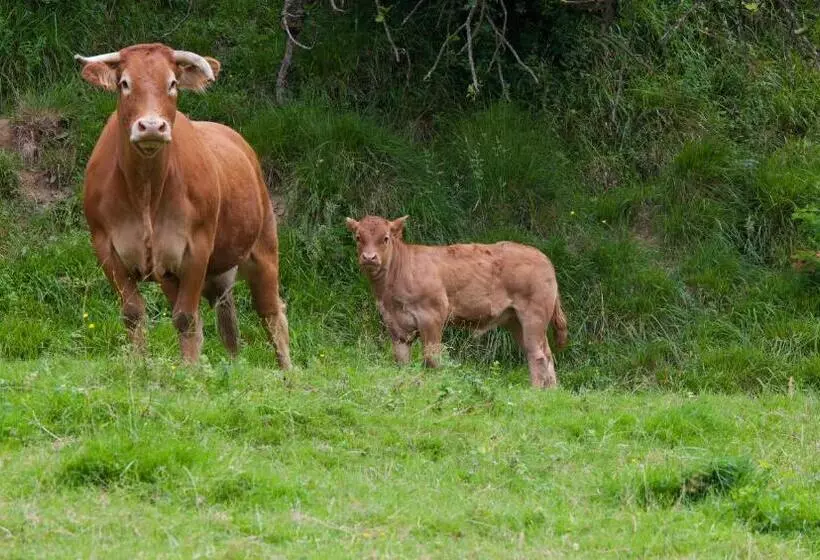 Majatalo Agroturismo Ibarre