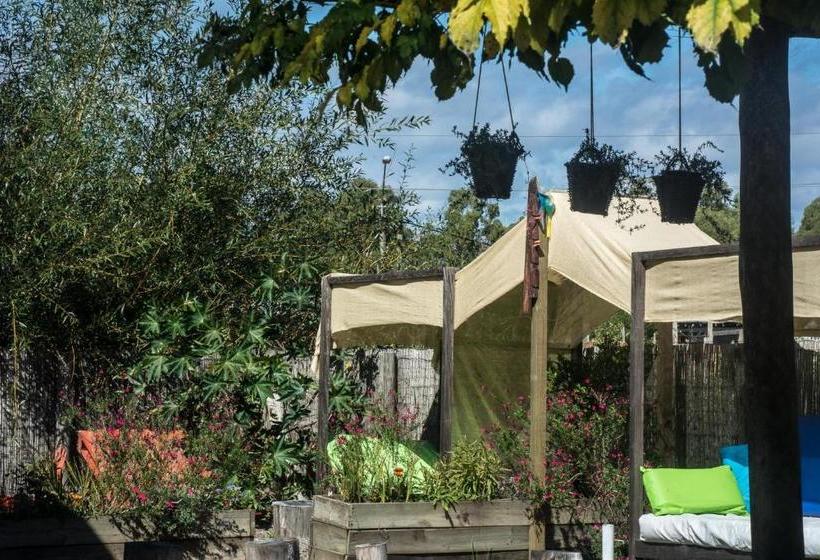 Pension Suites Atlantis