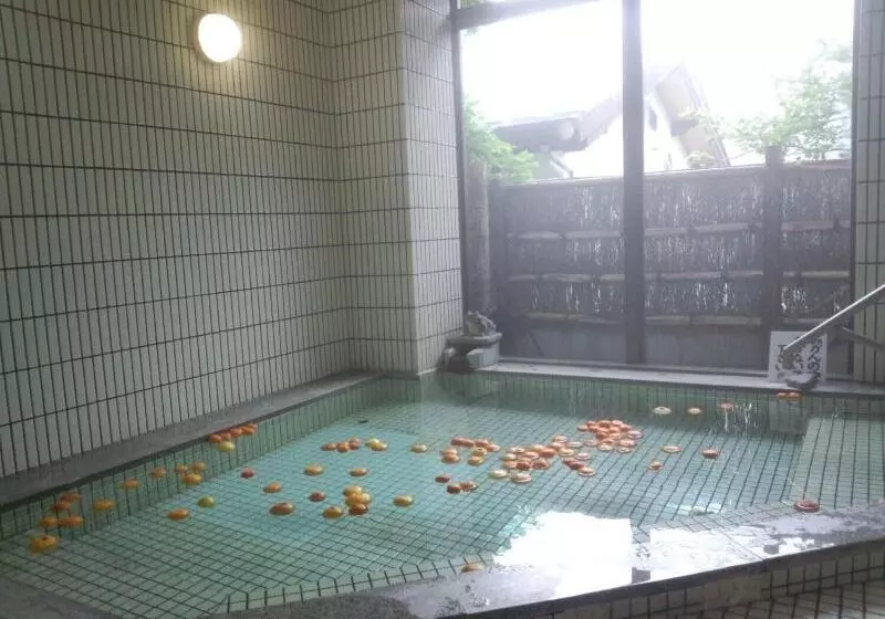 Ryokan Yugawara Onsen Apolosou