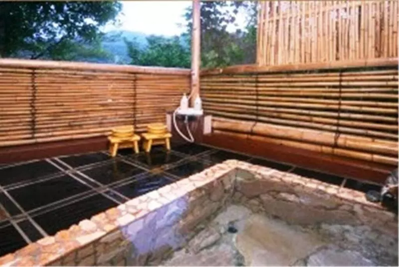 Ryokan Yugawara Onsen Apolosou