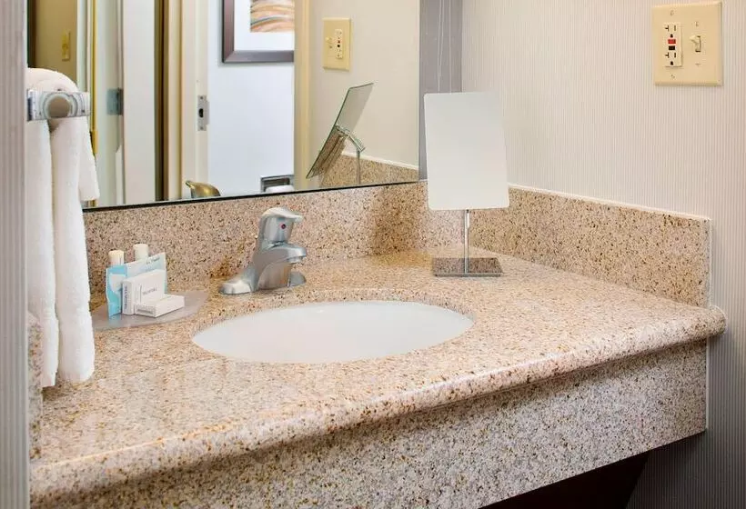 ホテル Courtyard By Marriott Richmond Airport