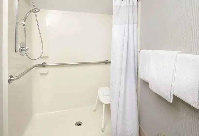 ホテル Courtyard Detroit Brighton