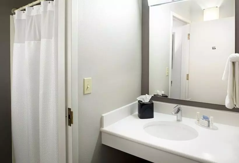 ホテル Courtyard Detroit Brighton