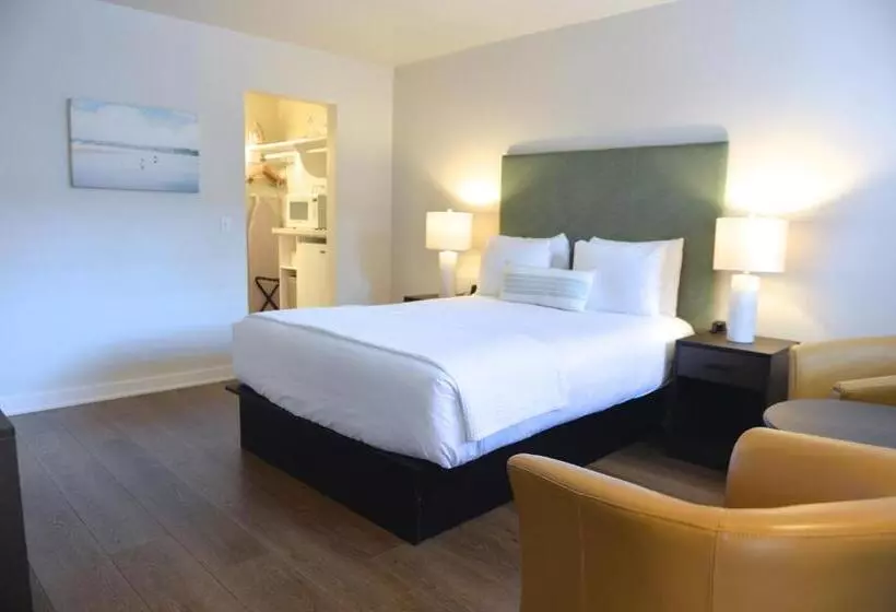 酒店 Crown City Inn Coronado