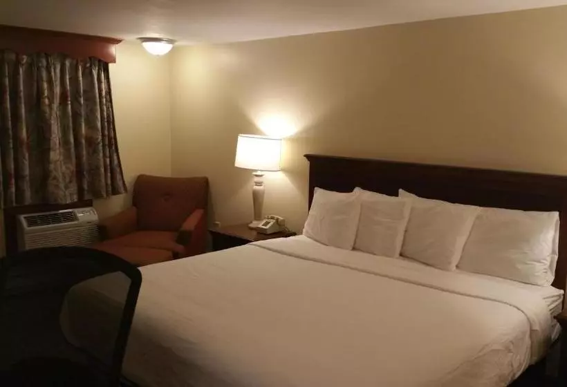 酒店 Dartmouth Motor Inn