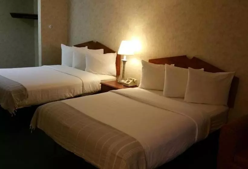 酒店 Dartmouth Motor Inn