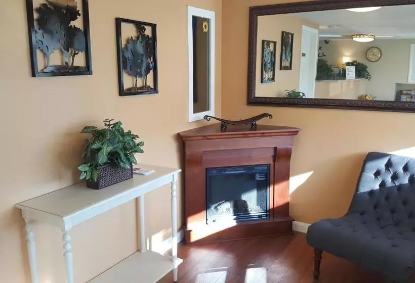 酒店 Dartmouth Motor Inn