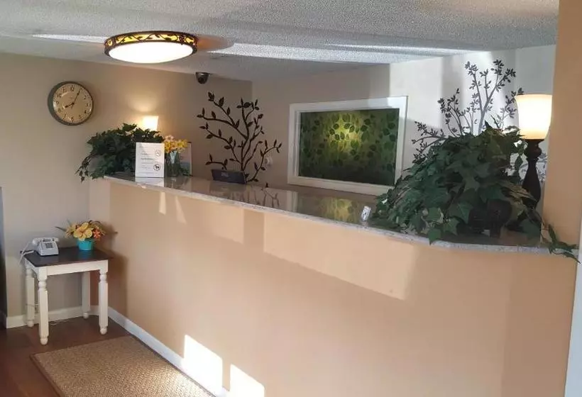 酒店 Dartmouth Motor Inn