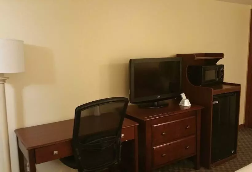 酒店 Dartmouth Motor Inn