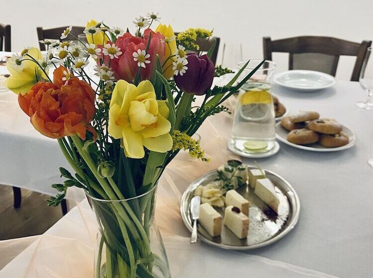 בית מלון כפרי Centrum