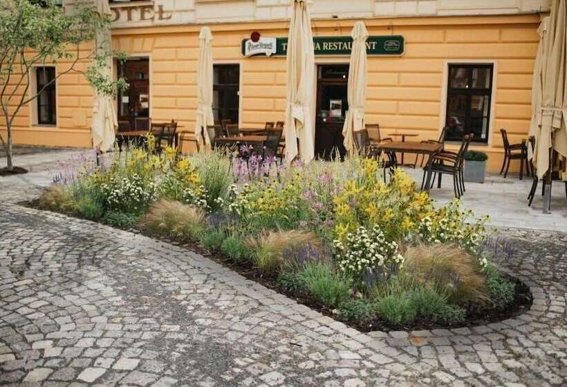 בית מלון כפרי Centrum