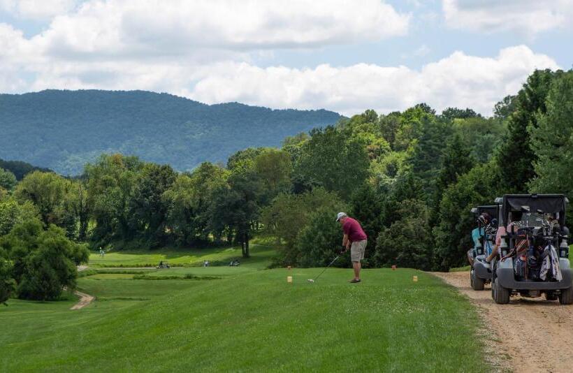 منتجع The Terrace Hotel At Lake Junaluska
