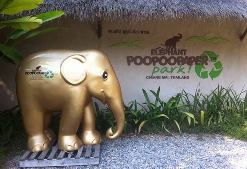 The Greenery Central Suite &