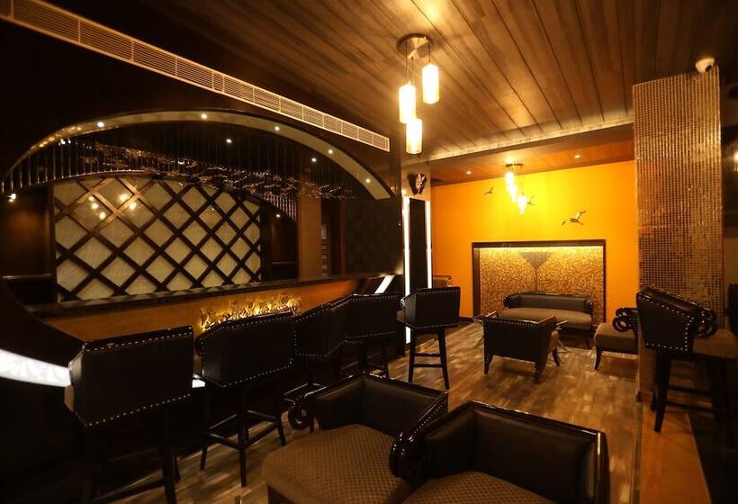 هتل The Pinnacle Inn Sarnath