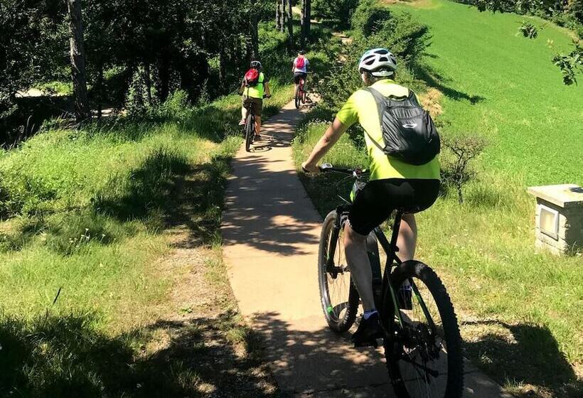 Bed and Breakfast Locanda Farinati