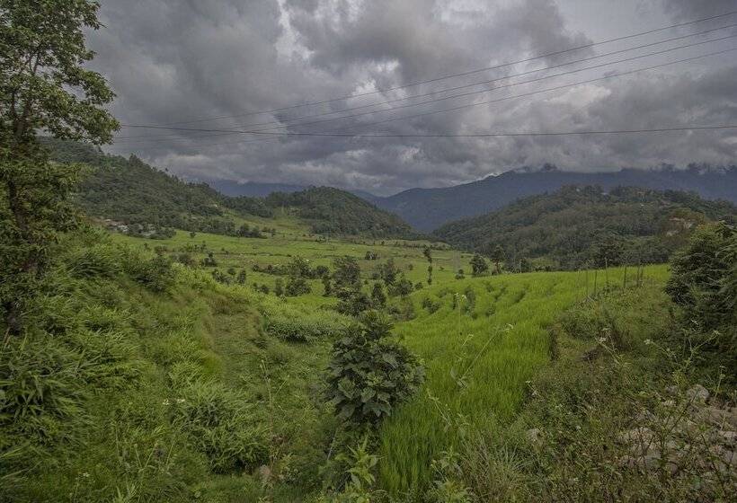 فندق Spot On 61318 Plato Homestay