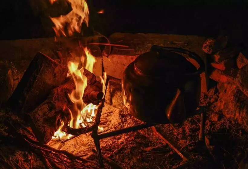 تختخواب و صبحانه Wajd Rum Luxury Camp