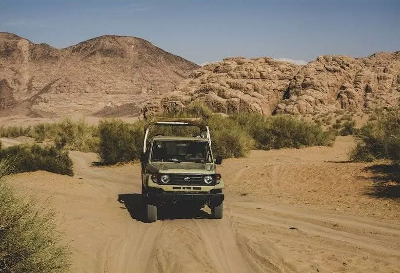 تختخواب و صبحانه Wajd Rum Luxury Camp