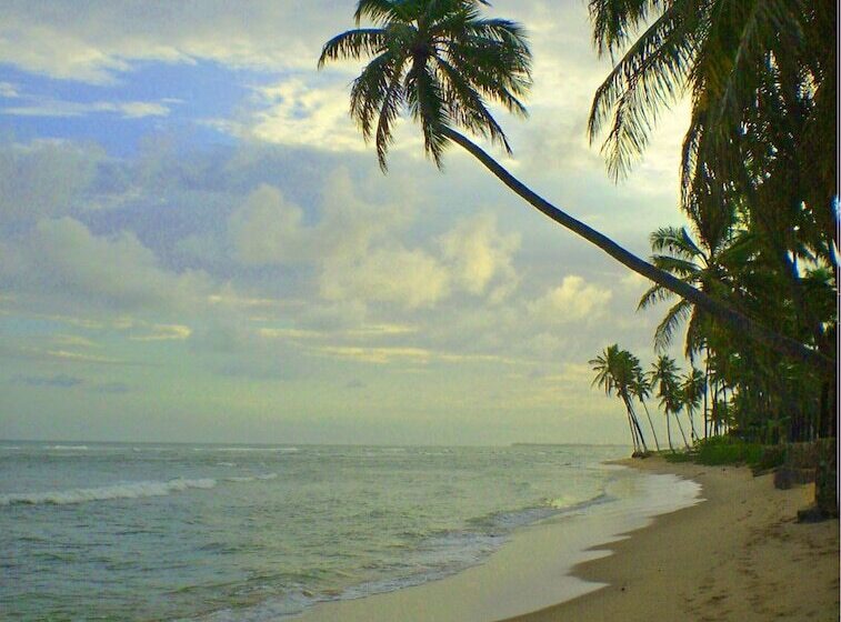 فندق Cabanas Blue