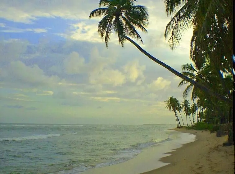 ホテル Cabanas Blue