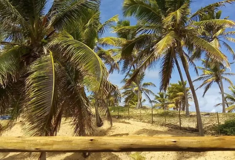 ホテル Cabanas Blue