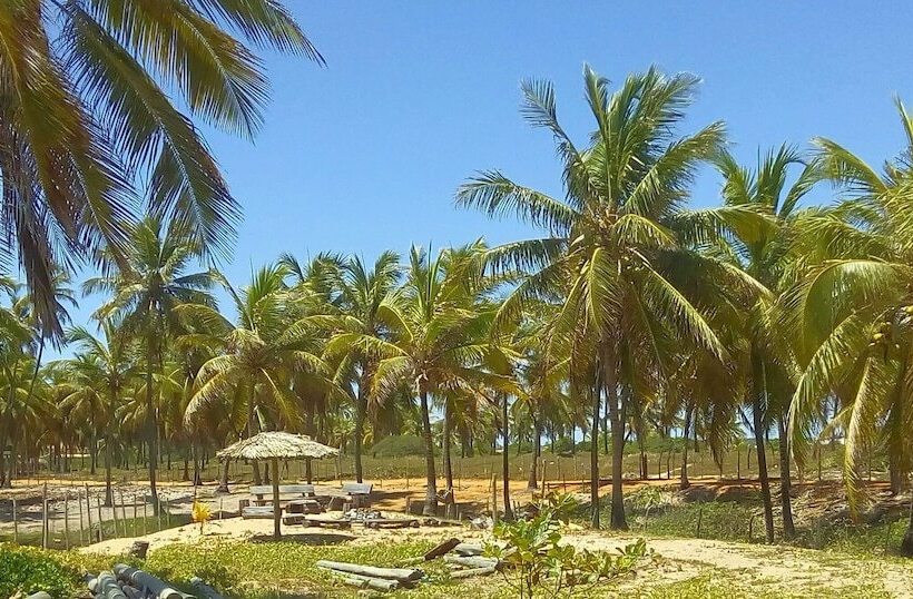 فندق Cabanas Blue