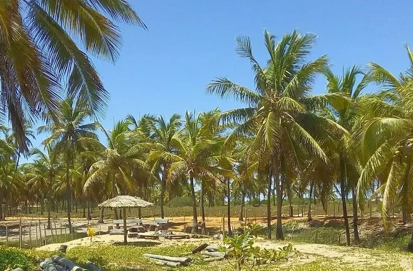 ホテル Cabanas Blue