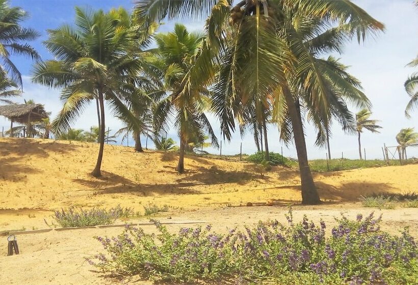 فندق Cabanas Blue