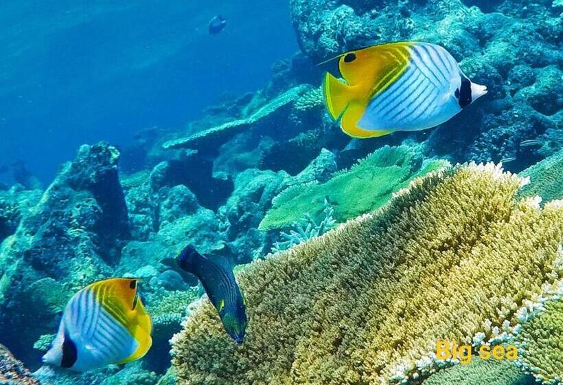 هتل Moodhumaa Inn