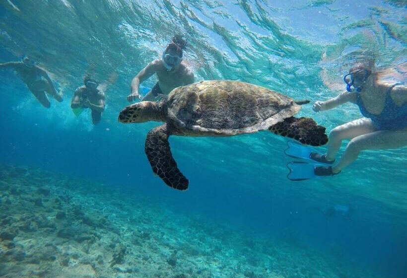 هتل Moodhumaa Inn