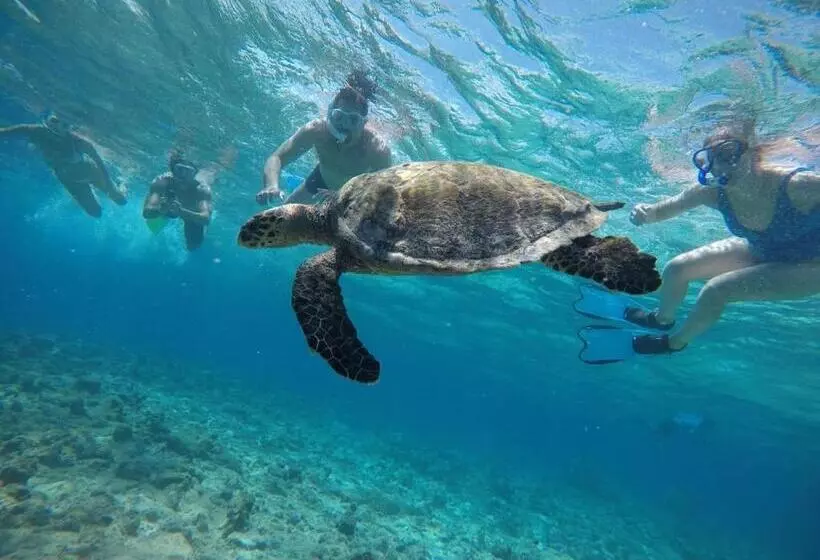 هتل Moodhumaa Inn