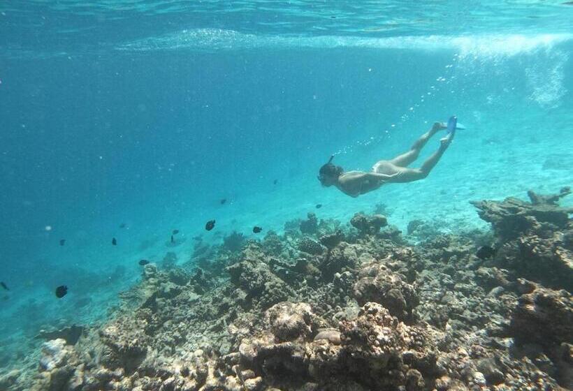 هتل Moodhumaa Inn