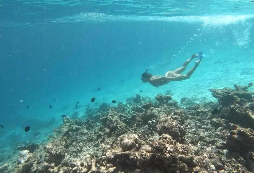 هتل Moodhumaa Inn