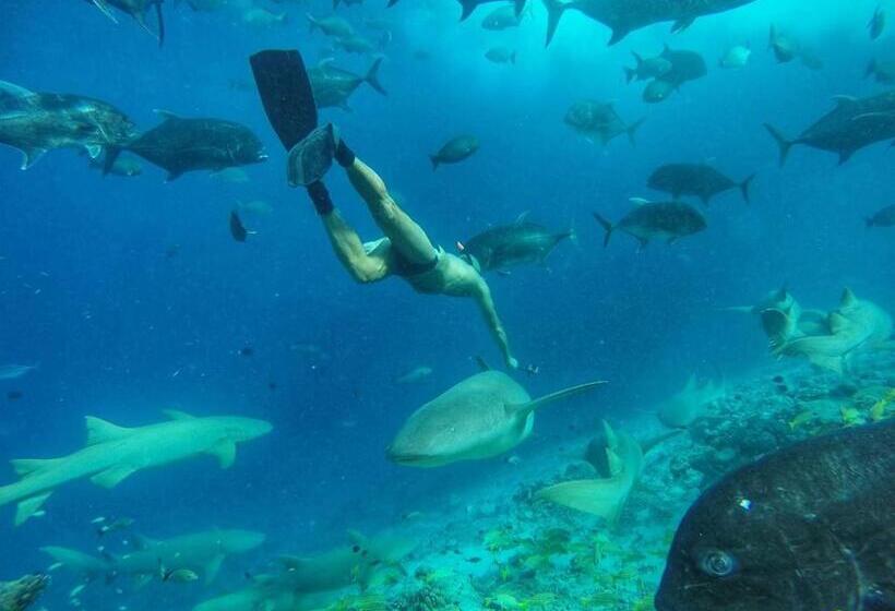 هتل Moodhumaa Inn