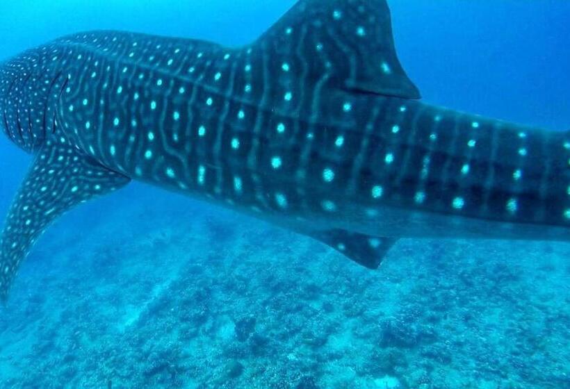 هتل Moodhumaa Inn