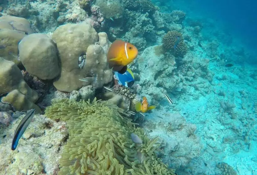 هتل Moodhumaa Inn