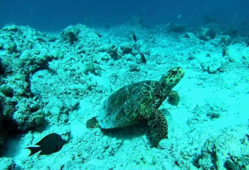 هتل Moodhumaa Inn