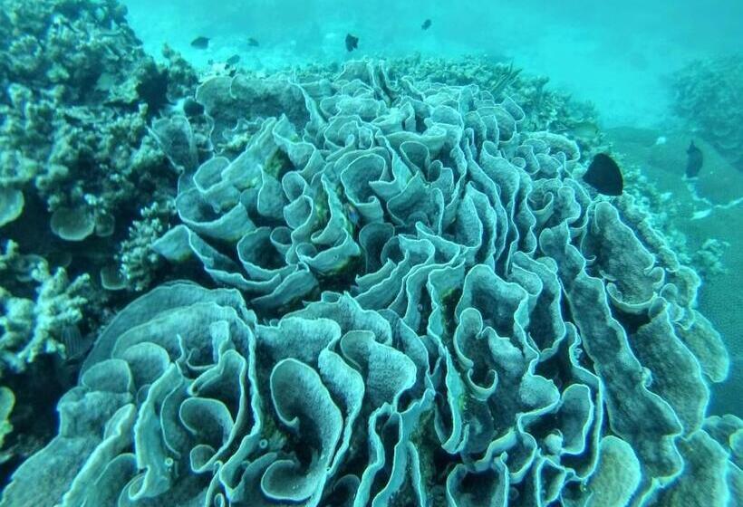 هتل Moodhumaa Inn