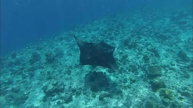 هتل Moodhumaa Inn