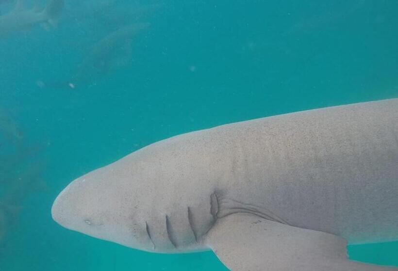 هتل Moodhumaa Inn