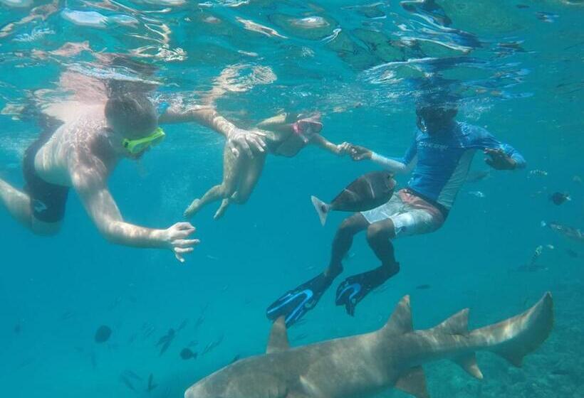 هتل Moodhumaa Inn