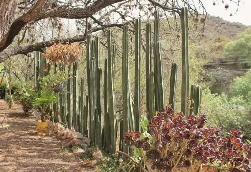 ペンション Casa De Cactus