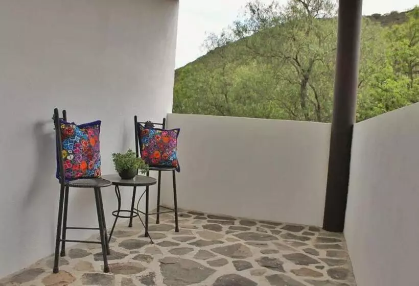 ペンション Casa De Cactus